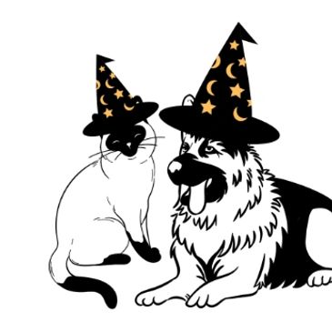 wizard cat and dog wearing witches hats