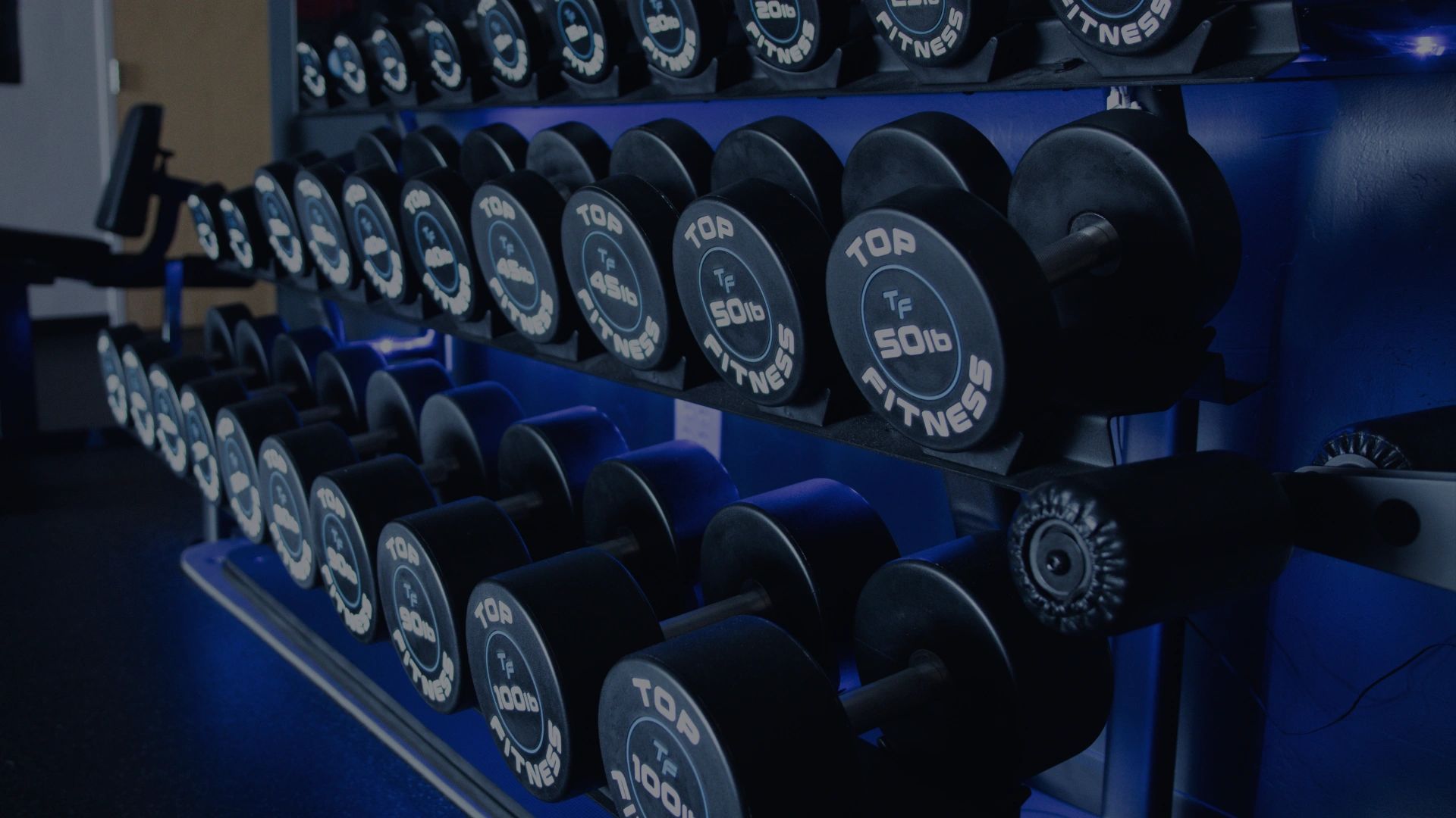The Station Gym