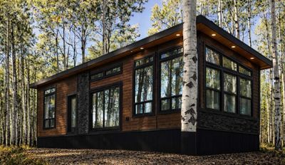 Modern tiny house with large windows in a birch forest.