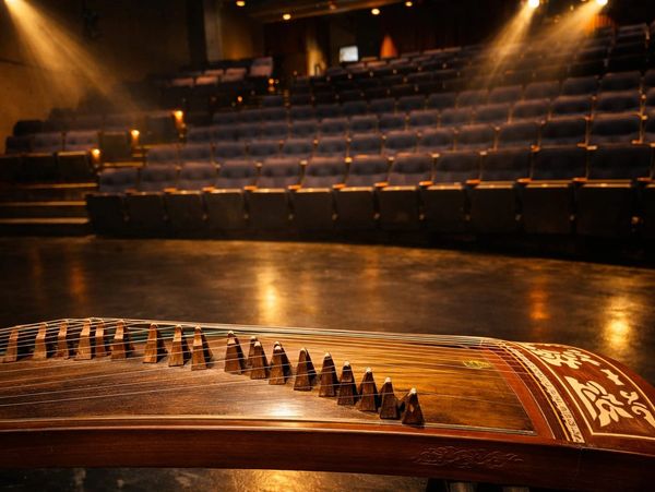 Traditional string instrument on stage in empty theater seats.