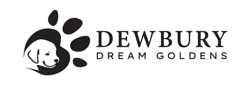 Dewbury Dream Goldens