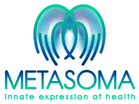 Metasoma