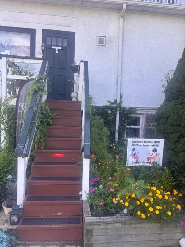 Wooden stairs leading to a black door, surrounded by plants.
