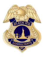 Black Ice Consultants LLC