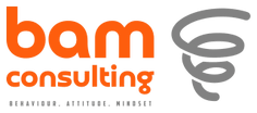 bam consulting