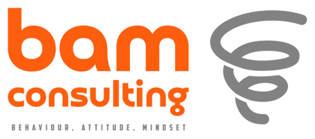 bam consulting