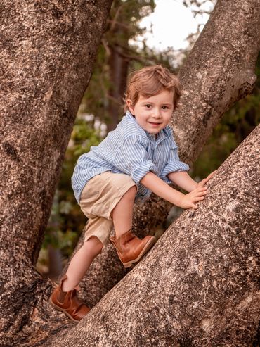 Young boy climbing a tree with a smile, wearing a striped shirt and brown boots.