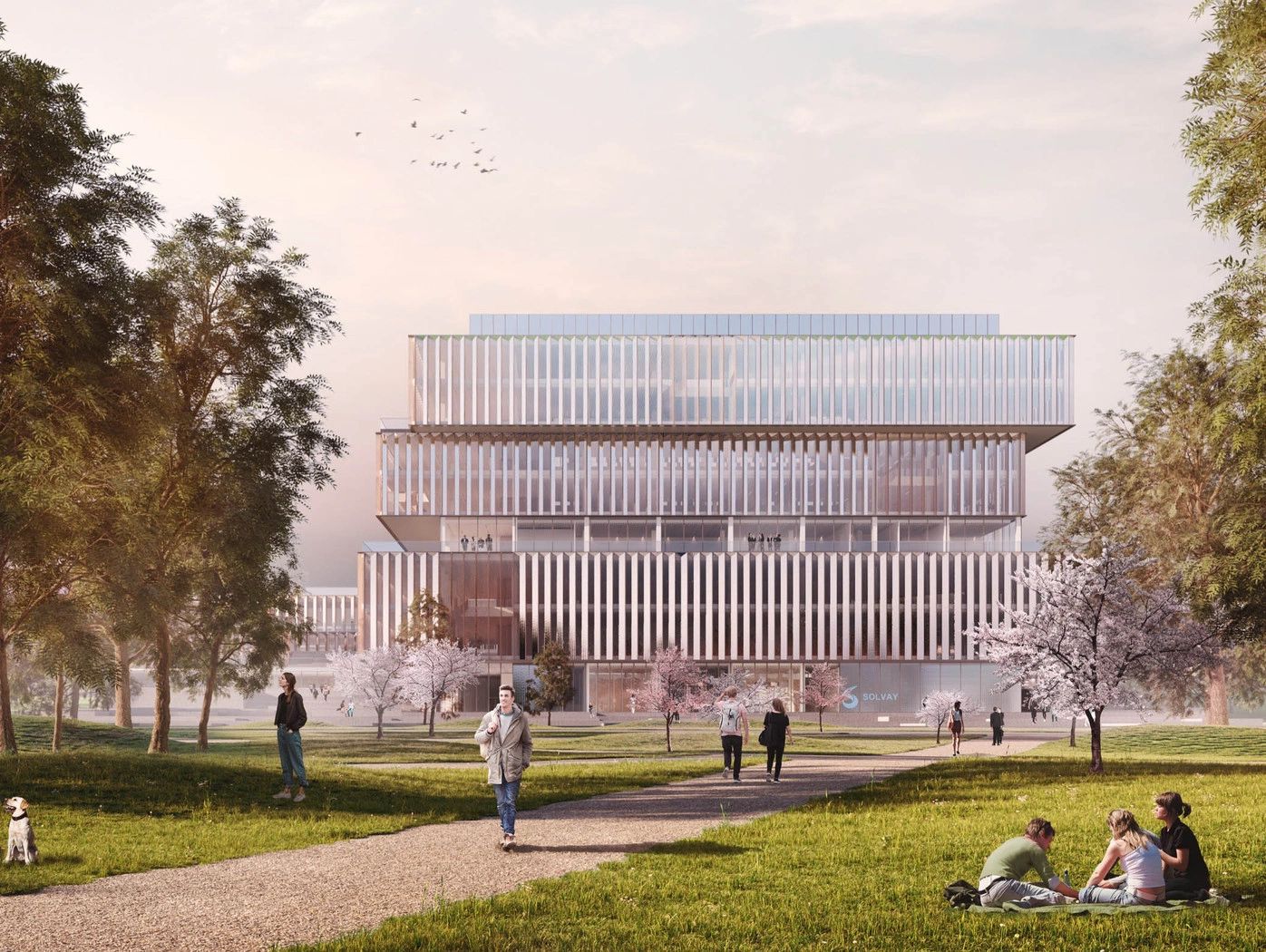 New way of working headquarters Solvay