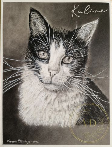 Portrait personnalisé d'une petite chatte prénommée Kaline. 
Réalisée aux fusains, format 23x30.5cm.