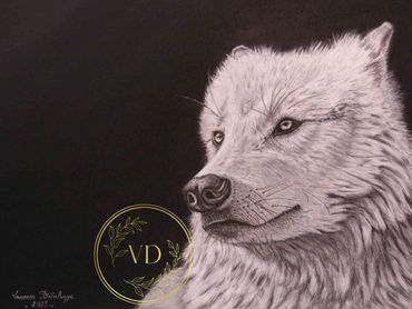 Portrait personnalisé d'un loup.
Réalisé aux fusains sur papier Arches, grain satiné.
Format 46x61cm