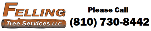 Felling Tree Services, LLC