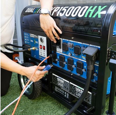 Servicing a portable generator