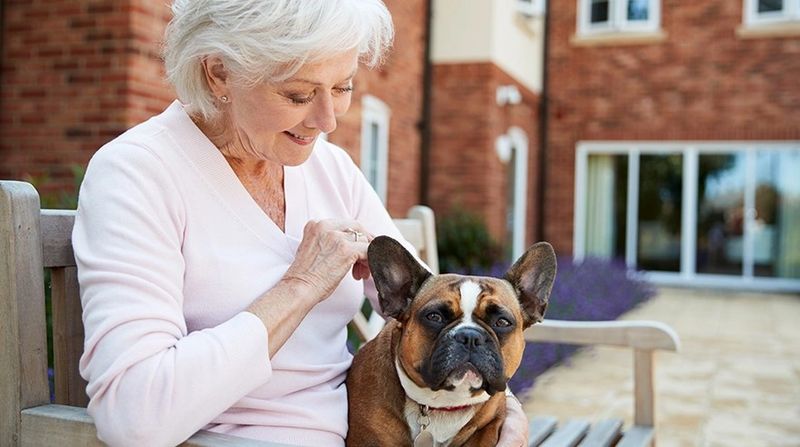 senior lady with boxer.jpg