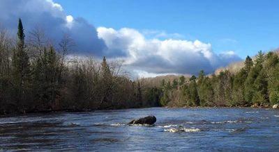 Experience the spectacular scenery of the beautiful waters that Wisconsin has. 