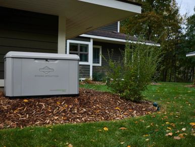 Briggs & Stratton Power Protect™ See or many products. 