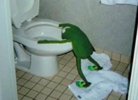 Wasted Kermyt