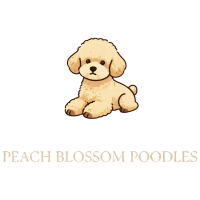 Peach Blossom Poodles