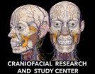 FACIAL ANATOMY
