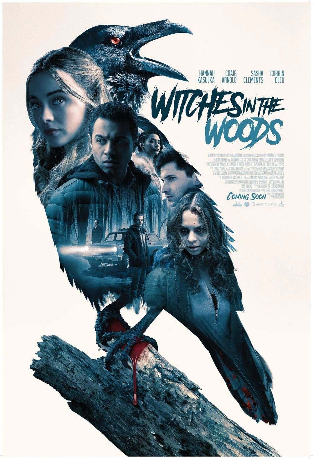 Witches In The Woods Movie Review