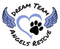 Dream Team Angels Rescue