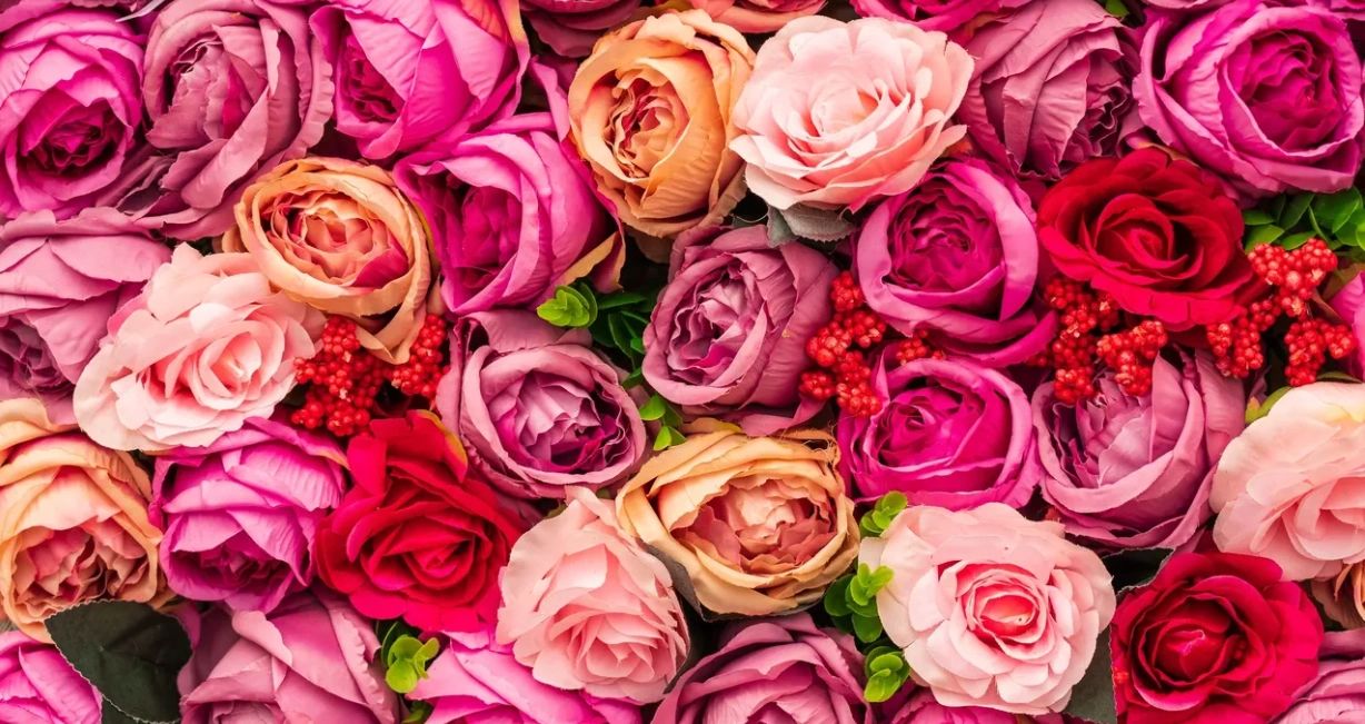 Colorful roses with green leaves and red berries.