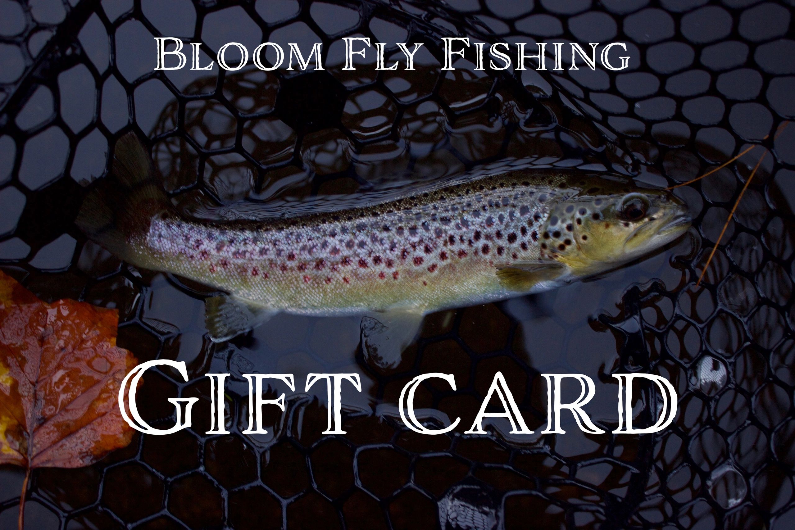 Bloom fly fishing gift card