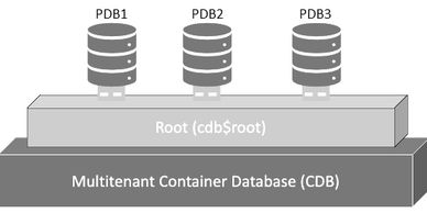 Oracle Multitenant Architecture