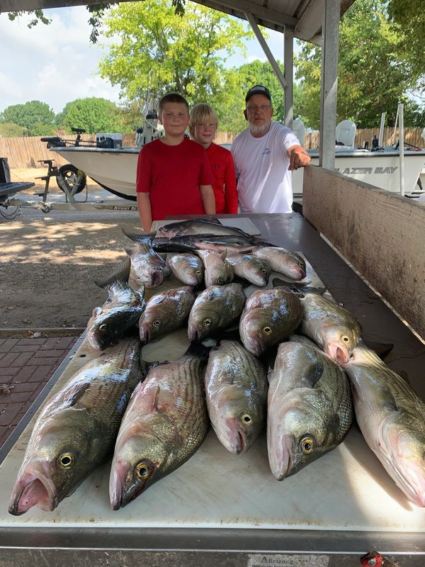 Family fishing fun with hybrid stripers on the table 