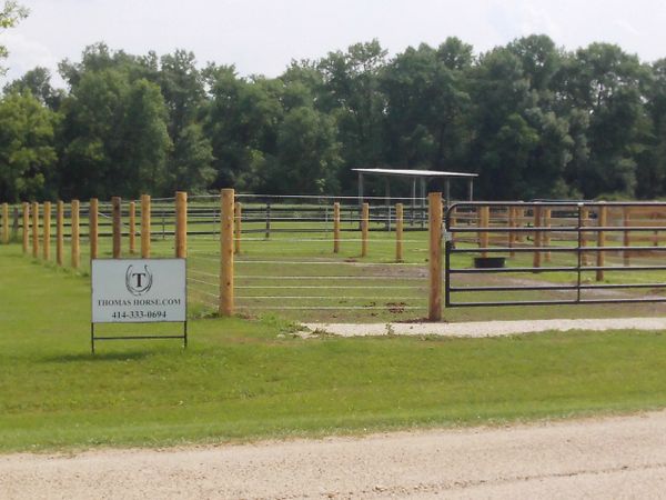 Foal Paddock Vet Clinic.