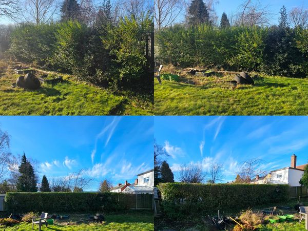 Four views of a sunny backyard with green grass and scattered garden items.