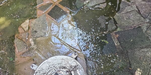 Surface cleaning machine on stained outdoor stone tiles.