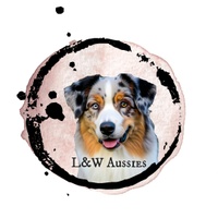 L&W Aussies