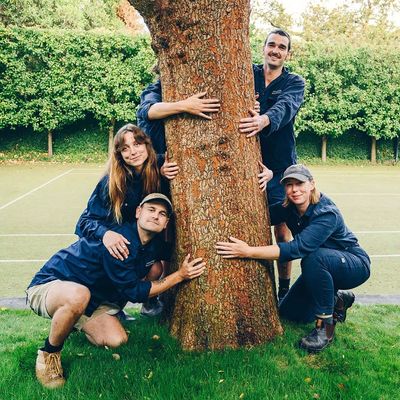Group of gardeners smiling and hugging a tree.