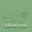 Beth Errington Consulting