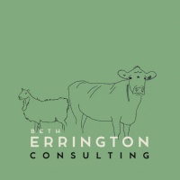 Beth Errington Consulting