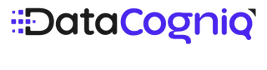 DataCogniq Solutions