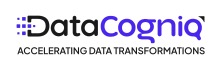DataCogniq Solutions