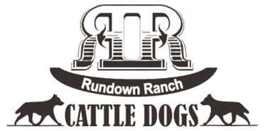 Rundown Ranch Cattle Dogs LLC