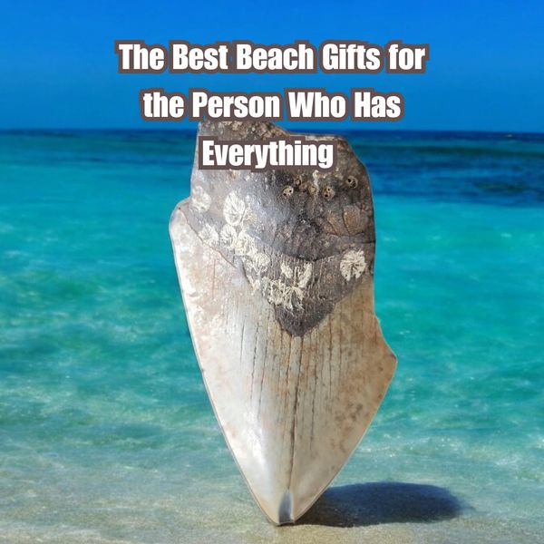 The best beach gift guide