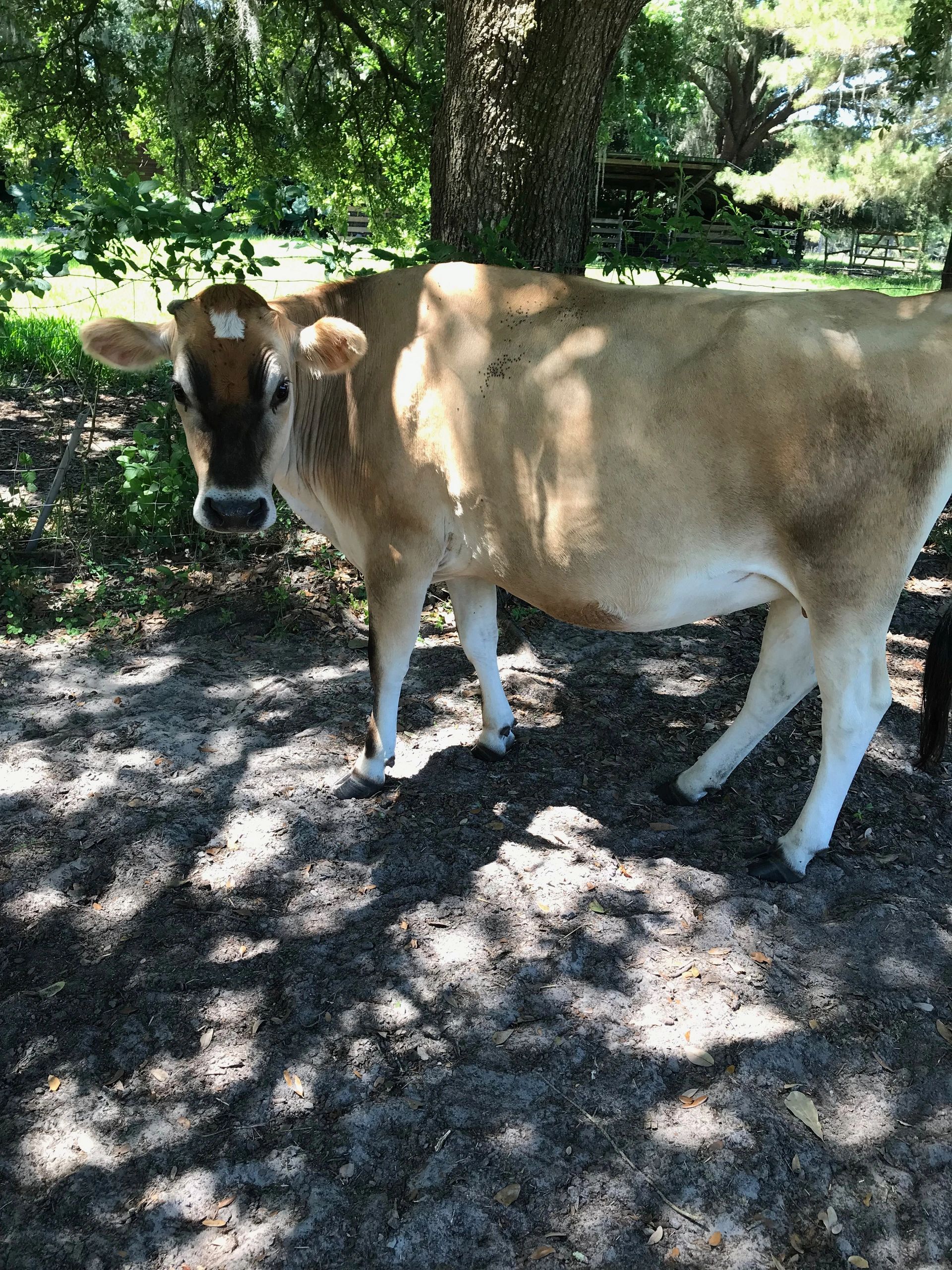 Happiness is finding the PERFECT home