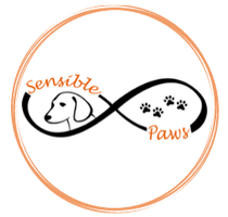 Sensible Paws Dog Training / Walking