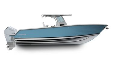 Boats for sale in Los Cabos and La Paz