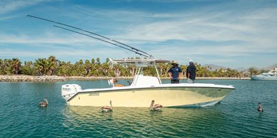 Boats for sale in Los Cabos and La Paz