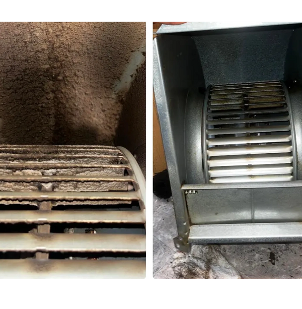 Blower Motor Cleaning