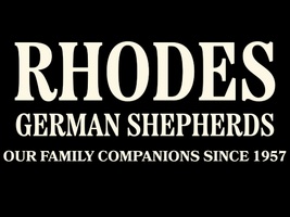 Rhodes 
German Shepherds