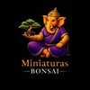 @miniaturasbonsai