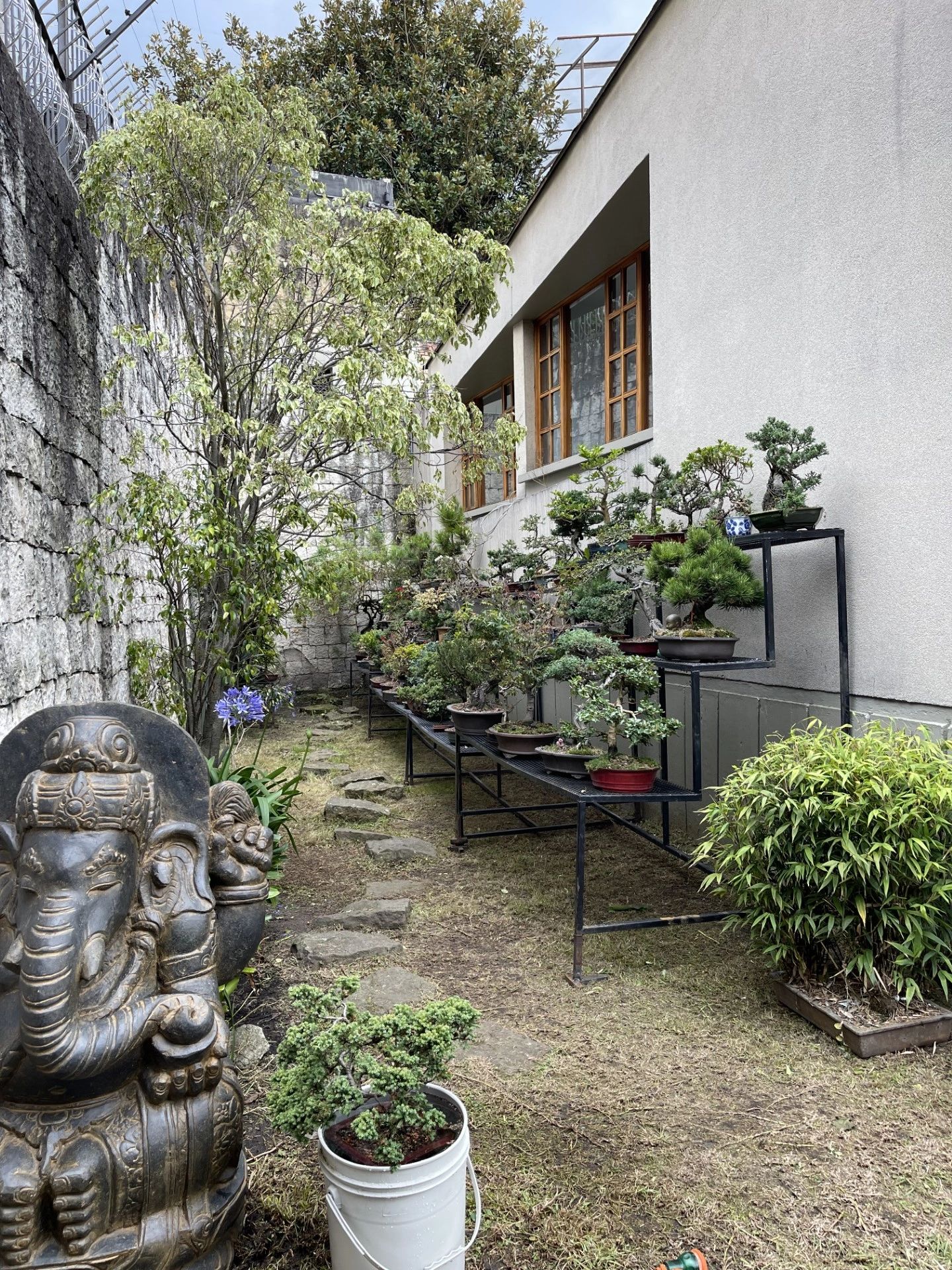 Miniaturasbonsai - Bonsái, Auténticos Bonsáis De Escuela Japonesa, image size:1440x1920