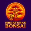 @miniaturasbonsai