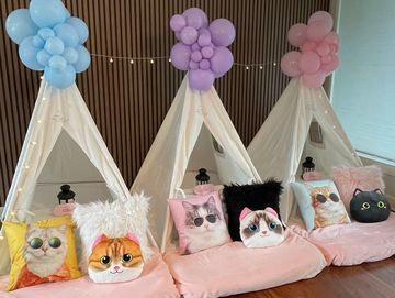 Camp Sweet Dreams Orlando slumber party tent rental themed sleepover teepee kitty cat