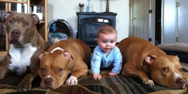 The safest baby in the world!  All trained through the in-home training program.